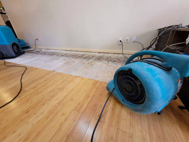 Professional Structural Drying technician working in Trenton, SC